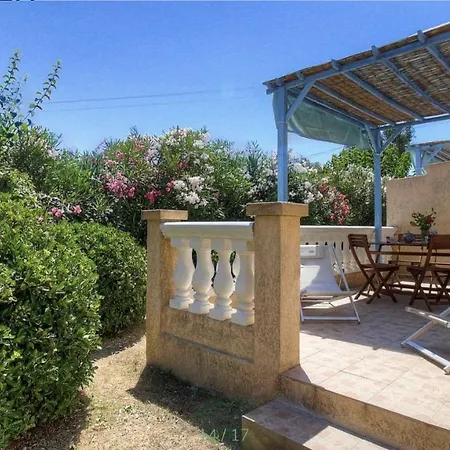 L'amandier -le Figuier-les Lauriers Roses アジャクシオ