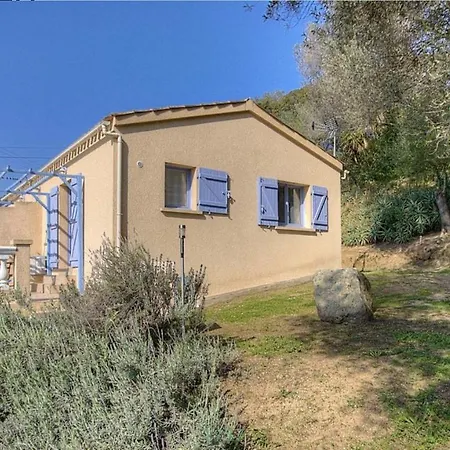 L'amandier -le Figuier-les Lauriers Roses アジャクシオ