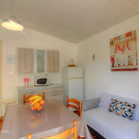 L'amandier -le Figuier-les Lauriers Roses アジャクシオ