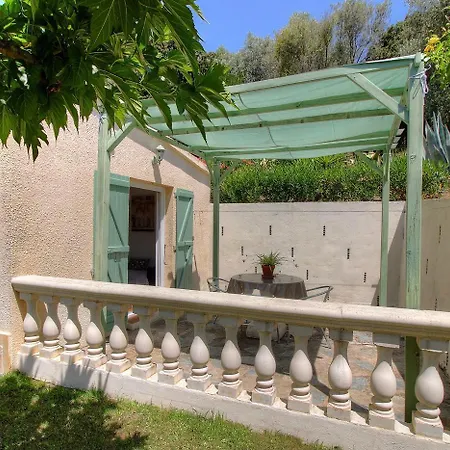 L'amandier -le Figuier-les Lauriers Roses * アジャクシオ