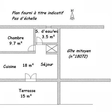 L'amandier -le Figuier-les Lauriers Roses * 阿雅克肖