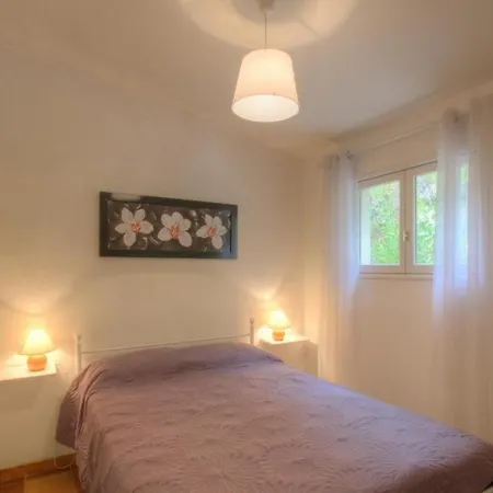 L'amandier -le Figuier-les Lauriers Roses Ajaccio (Corsica)