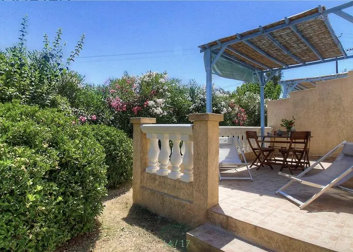 L'amandier -le Figuier-les Lauriers Roses Ajaccio (Corsica)