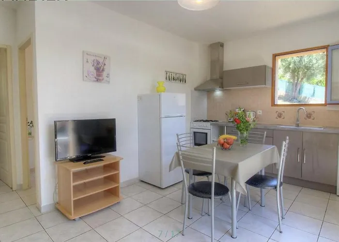 L'amandier -le Figuier-les Lauriers Roses Holiday home *