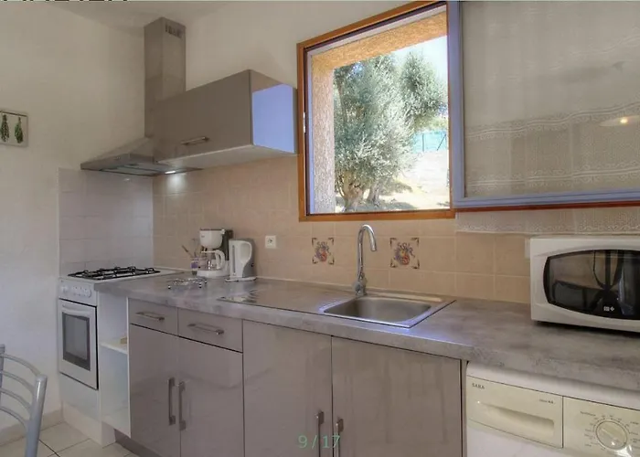 L'amandier -le Figuier-les Lauriers Roses Ajaccio (Corsica)