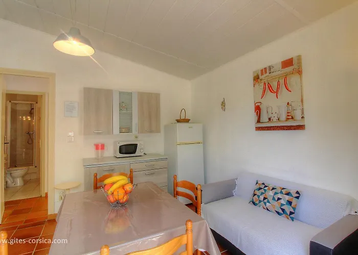 L'amandier -le Figuier-les Lauriers Roses Ajaccio (Corsica)