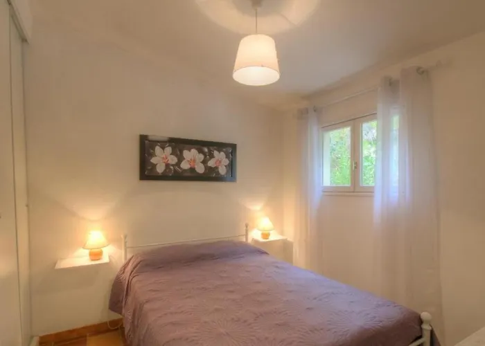 L'amandier -le Figuier-les Lauriers Roses Ajaccio (Corsica)